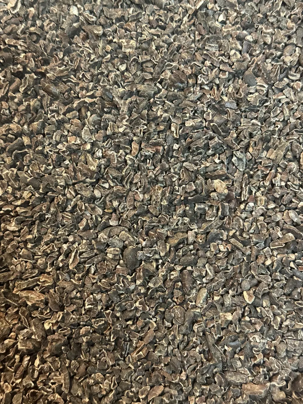 Cacao Puro